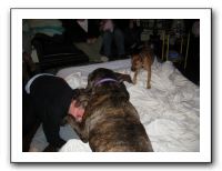 Thanksgiving 2009 065
