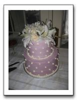 Jared & Vika's Wedding 12-29-09 011