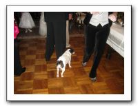 Jared & Vika's Wedding 12-29-09 204
