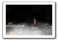 Kids and Dogs - Jan 2010 103