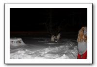 Kids and Dogs - Jan 2010 106