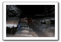 Kids and Dogs - Jan 2010 111
