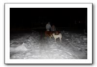 Kids and Dogs - Jan 2010 114