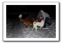 Kids and Dogs - Jan 2010 116