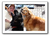 Kids and Dogs - Jan 2010 012