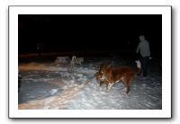 Kids and Dogs - Jan 2010 121