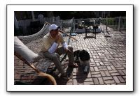 Kids and Dogs - Jan 2010 015