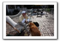 Kids and Dogs - Jan 2010 016