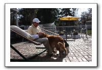 Kids and Dogs - Jan 2010 027