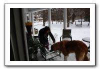 Kids and Dogs - Jan 2010 050