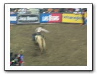 PRB Rodeo 006