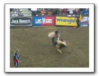 PRB Rodeo 007