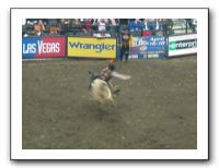 PRB Rodeo 008