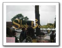 Brookside Art Fair 05-01-10 042
