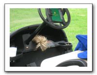 Golf with Alex - May 2010 047