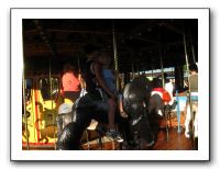 Carousel-Lewellen (119)
