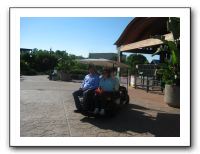 Carousel-Lewellen (3)