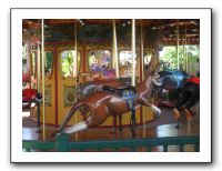 Carousel-Lewellen (43)
