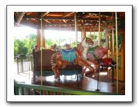 Carousel-Lewellen (45)