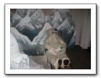 Jazzoo 6-4-10 (189)