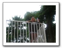 Jazzoo 6-4-10 (214)