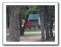 Family Reunion in Texas - July 2010 1132