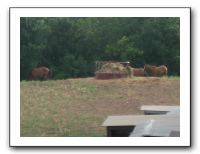 Family Reunion in Texas - July 2010 1569