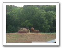 Family Reunion in Texas - July 2010 1570