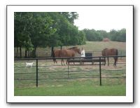 Family Reunion in Texas - July 2010 1624