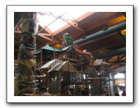 Emilie & Friends at Great Wolf Lodge - 06-28-10 019