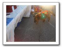 Plaza Art Fair - Sept 2010 049
