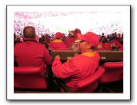 Chiefs vs Bills - 10-31-10 051
