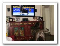 Thanksgiving - Nov 2010 176