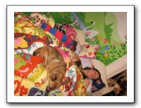 Thanksgiving - Nov 2010 263
