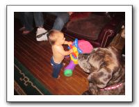 Thanksgiving - Nov 2010 068