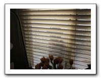 Thanksgiving - Nov 2010 479