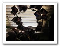 Thanksgiving - Nov 2010 504