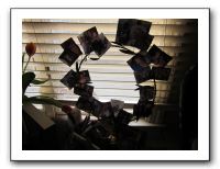 Thanksgiving - Nov 2010 505