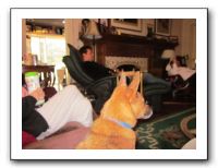 Thanksgiving - Nov 2010 580