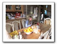 Thanksgiving - Nov 2010 444