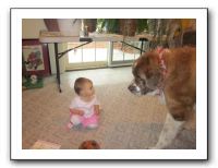 Christmas at the Farm - 2010 111