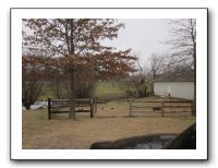 Christmas at the Farm - 2010 021