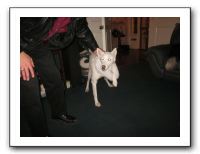 Family and Friends - Jan 2011 124
