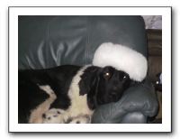 Family and Friends - Jan 2011 125