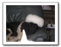 Family and Friends - Jan 2011 126
