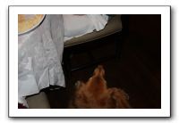 Family and Friends - Jan 2011 286