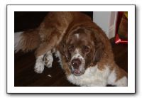 Family and Friends - Jan 2011 289