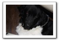 Family and Friends - Jan 2011 290