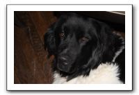 Family and Friends - Jan 2011 294