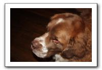 Family and Friends - Jan 2011 295